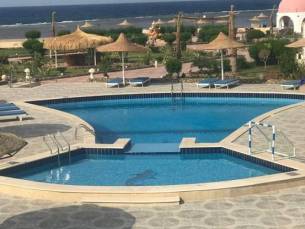 Dolphin Continental