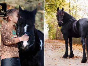 1 of 3 sessie(s) paardencoaching (60 min)