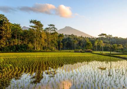 Bali en Lombok
