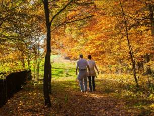 Verblijf in een voormalige burgemeesterswoning bij Overijssels Vechtdal incl. ontbijt