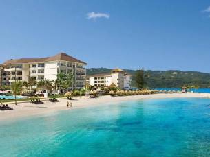 Secrets Wild Orchid