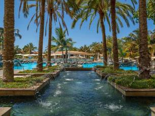 Palm Oasis