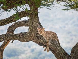 Grand Tour van Krater tot Eindeloze Savannes Superior