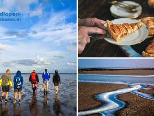 Wadlopen (Ã  2,5 uur) + koffie/thee + gebak