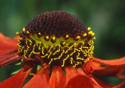 Hans Schuman - Natuurbeleving, als zien niet (meer) vanzelfsprekend is. in Gieterveen