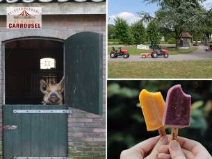Entree + waterijsje Beleefboerderij De kleine Carrousel (2 personen)