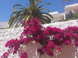 El Capistrano Sur