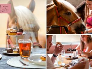 High tea met meet & feed met paarden (3 uur)