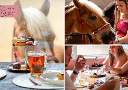 High tea met meet & feed met paarden (3 uur)