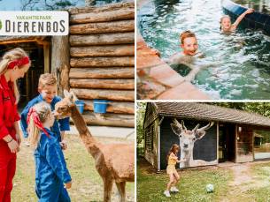Midweek of weekend weg (voor 3 tot 6 pers.) bij Dierenbos + entree dierentuin