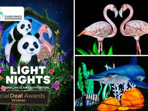 Entree Light Nights in Ouwehands Dierenpark