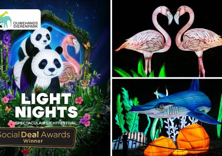 Entree Light Nights in Ouwehands Dierenpark