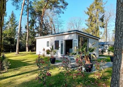 Boslodge De Mooie Plek - 3 personen