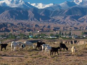Berlin - Bishkek