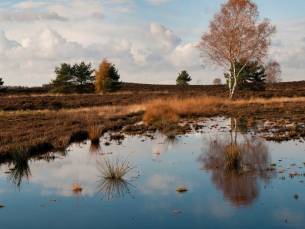 TOPDEAL! ⚡ Geniet van de natuurrijke omgeving van Drenthe met verblijf in een 4*-fletcher hotel met ZWEMBAD incl. ontbijt & diner