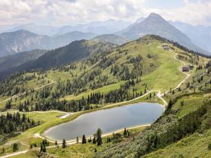 Ontdek het Salzkammergut en de Alpen vanuit Flachau