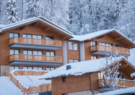 Apartment Dorf Wagrain Alpenleben