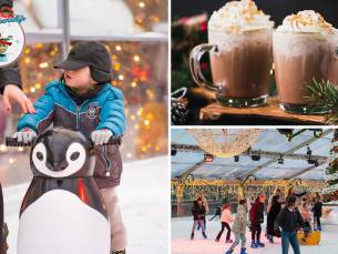 Entree incl. huur schaatsen, drankje en meer bij Bergs Winterparadijs