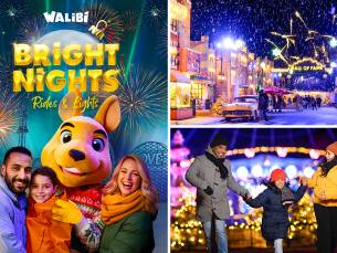 Entree Bright Nights in Walibi Holland