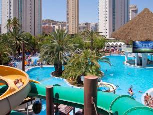 Magic Tropical Splash