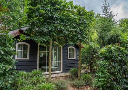 Veluws boerderijtje Comfort (4+2 persoons) op bospark in Ermelo