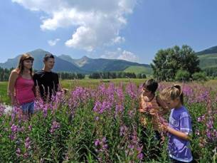 Val di Fiemme Easy Village