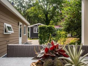 Heuvelrug Cottage Comfort - 4 personen