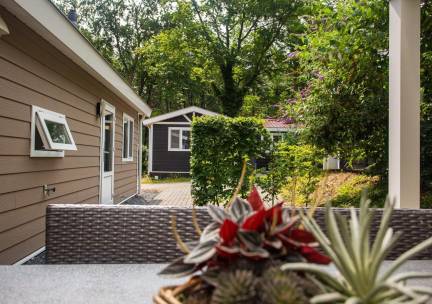 Heuvelrug Cottage Comfort - 4 personen