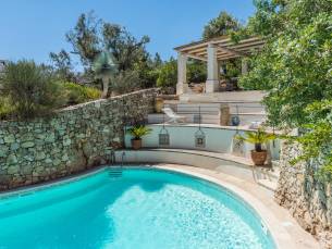 Tia Pool Studio