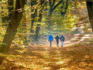 3 dagen in een MODERN 4*-hotel met zwembad midden op de Veluwe incl. ontbijt & hoofdgerecht + GRATIS parkeren!