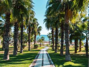Hotel Sural Resort