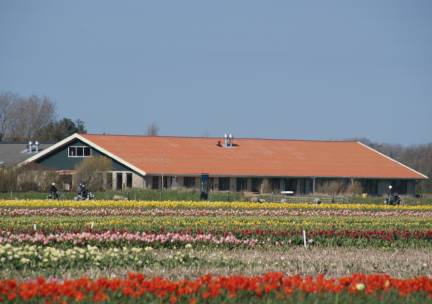 De Stolp III ****