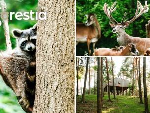 Entree voor dierentuin Forestia in de buurt van Spa