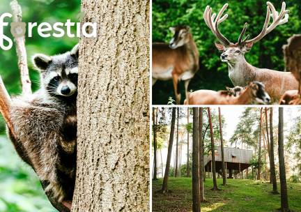 Entree voor dierentuin Forestia in de buurt van Spa