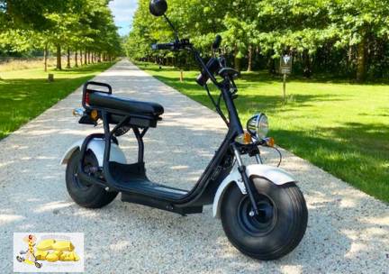 E-chopper huren (3 uur) Hondsrug Tours
