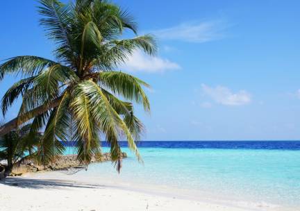 Best Deal De Wonderen van Sri Lanka en Malediven