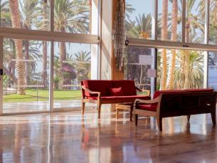 Marazul del Sur 3p6p