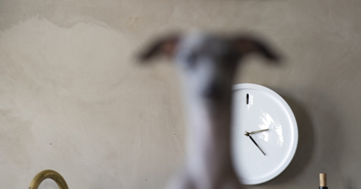 Koreografreporteren En Samtale Med Hege Haagenrud Dansens Hus