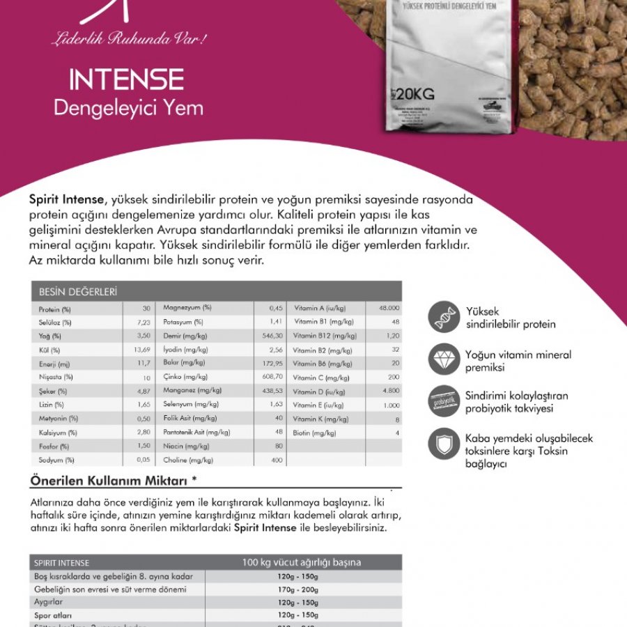 Spirit İntense At Yemi Yüksek Proteinli ve Dengeleyici 20 Kg
