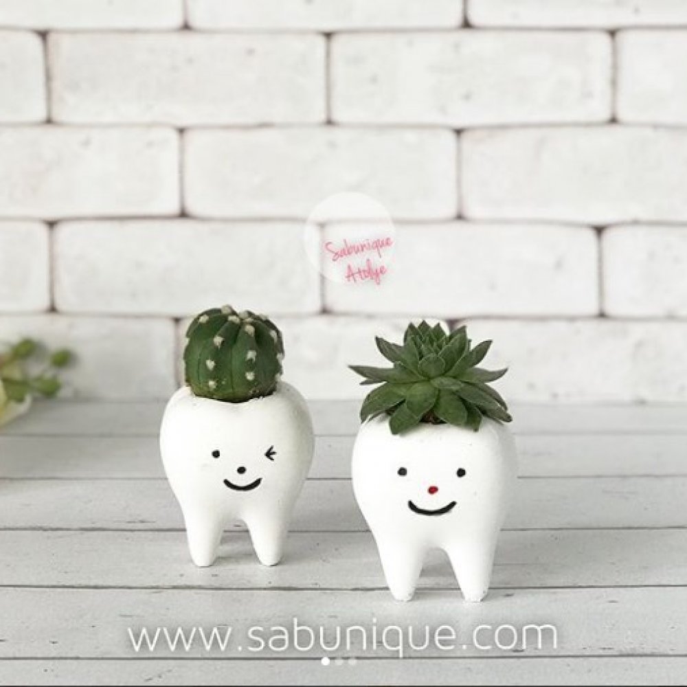 Kugu-saksi-dizayn Kugu-saksi-dizayn
