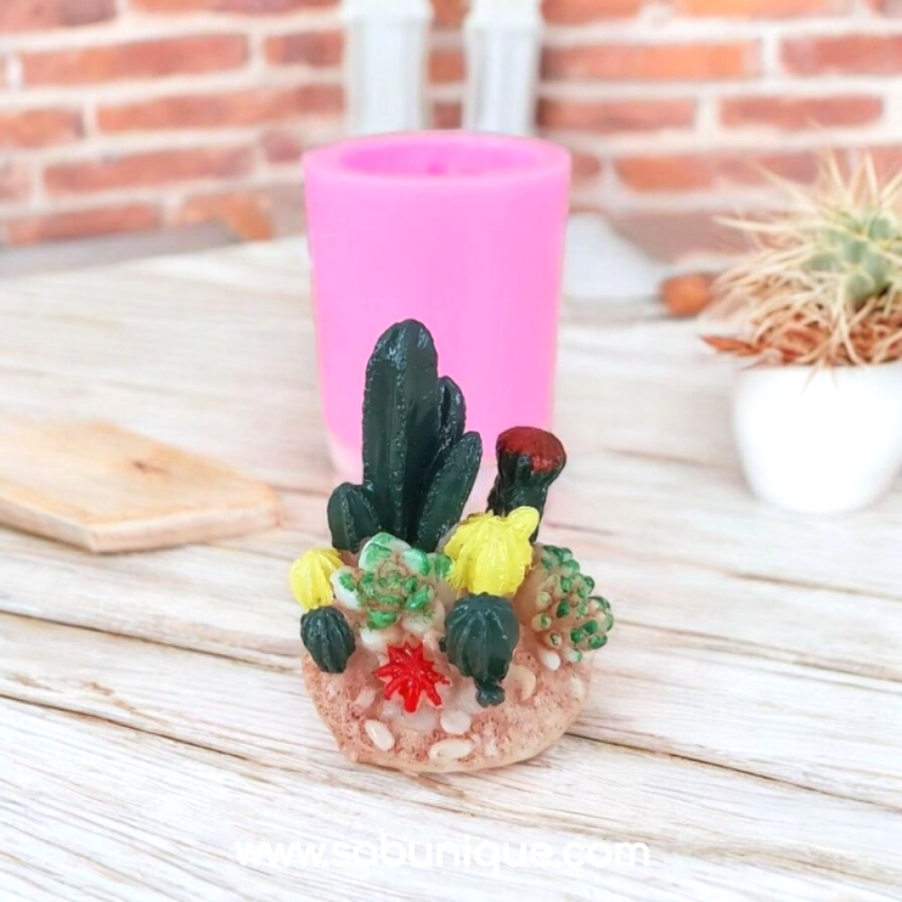Hazır Tabanlıklı Sukulent & Kaktüs Takımı Silikon Kalıbı