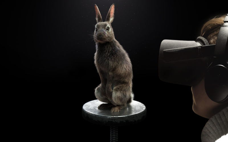 PETA EYE TO EYE Virtual Reality Dialogue