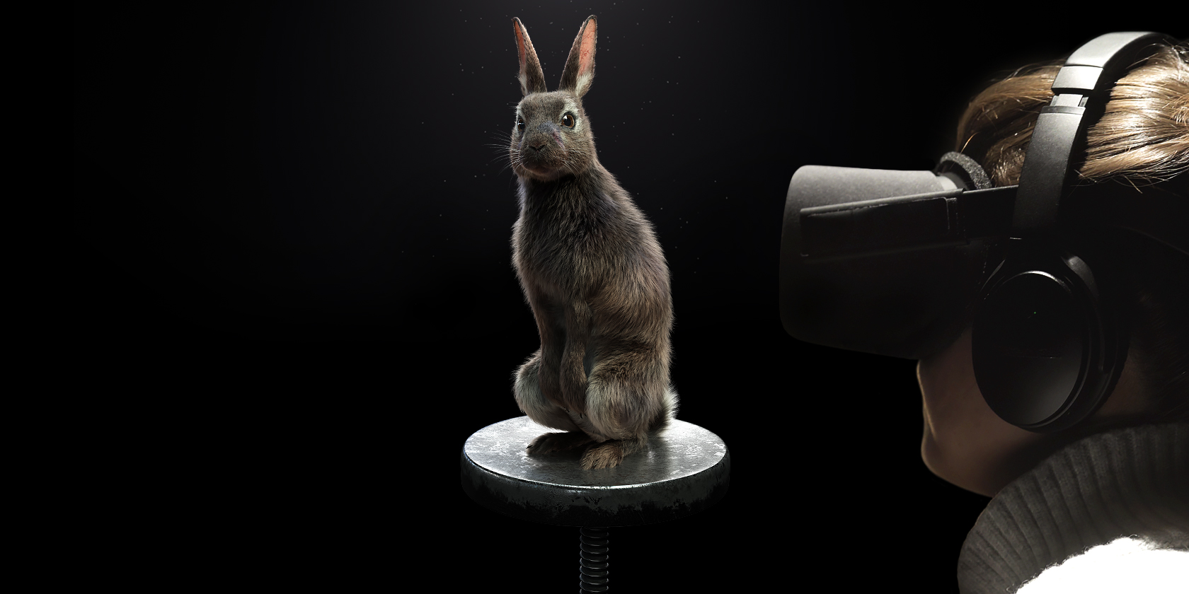 PETA EYE TO EYE Virtual Reality Dialog