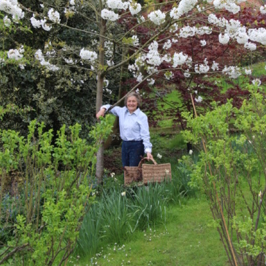 The Apprehensive Gardener