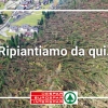 La solidarietà della gente e l’amore per il territorio – Con DESPAR raccolti 230.000 euro a favore delle popolazioni colpite dalla tempesta Vaia
