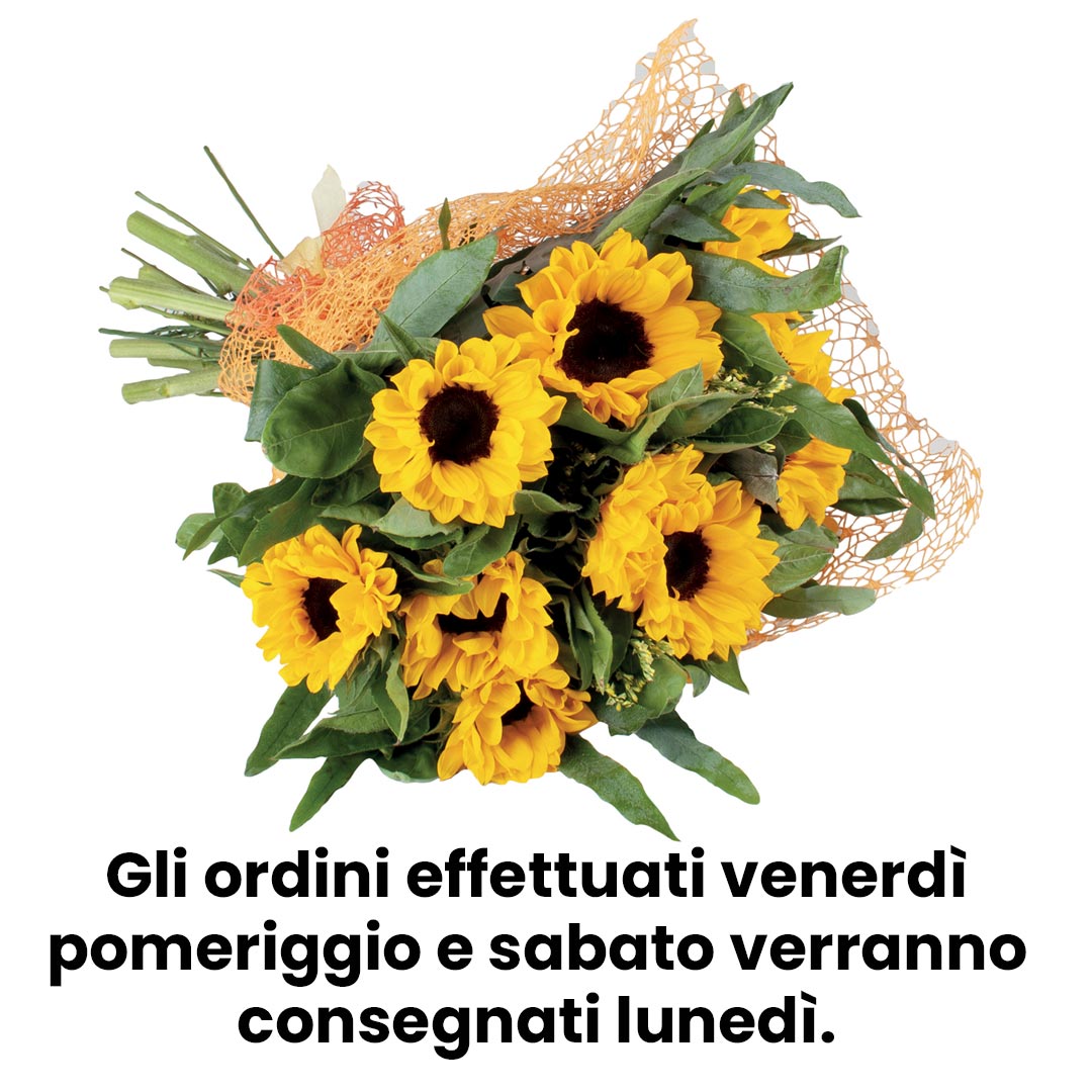Bouquet 12 girasoli