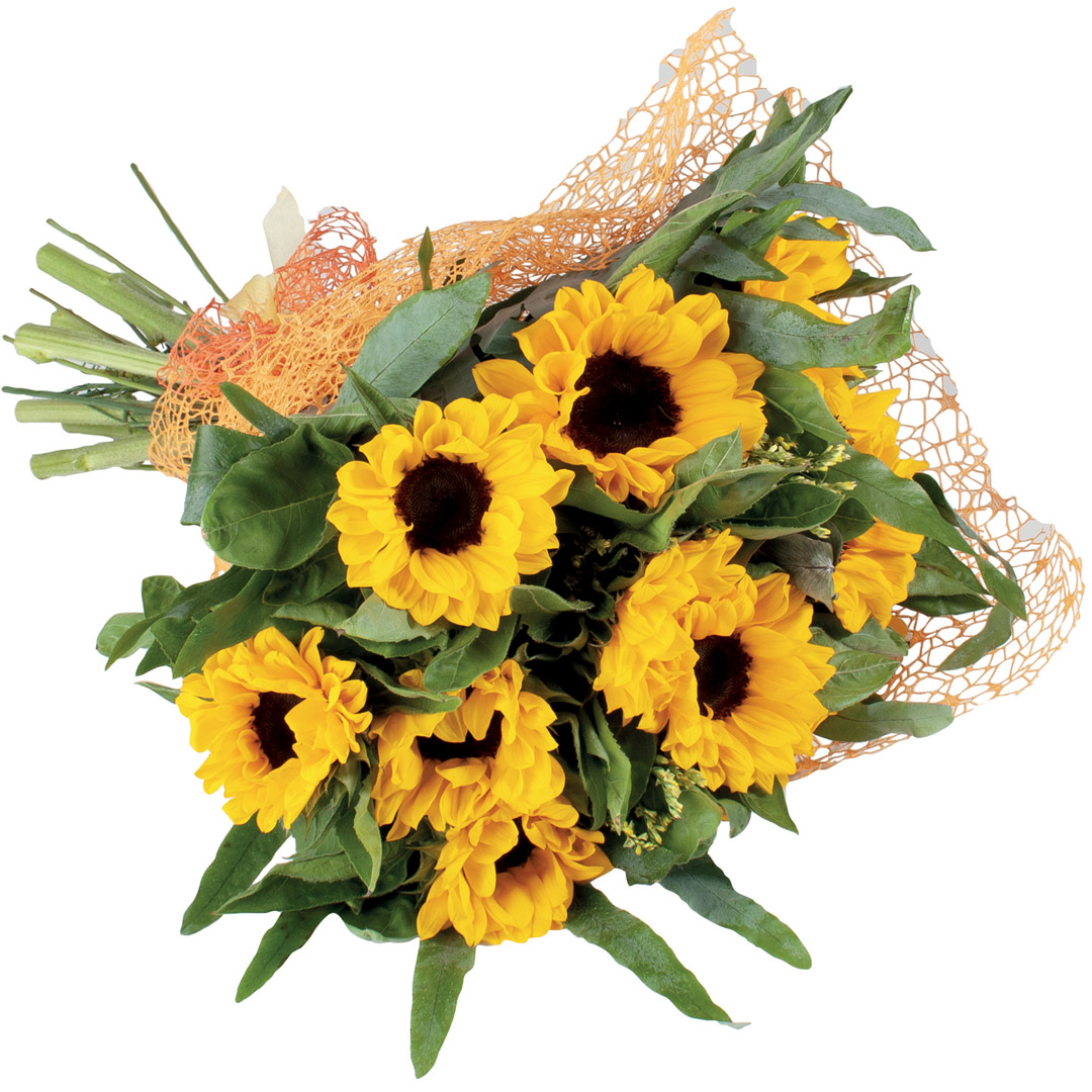 Bouquet 12 girasoli