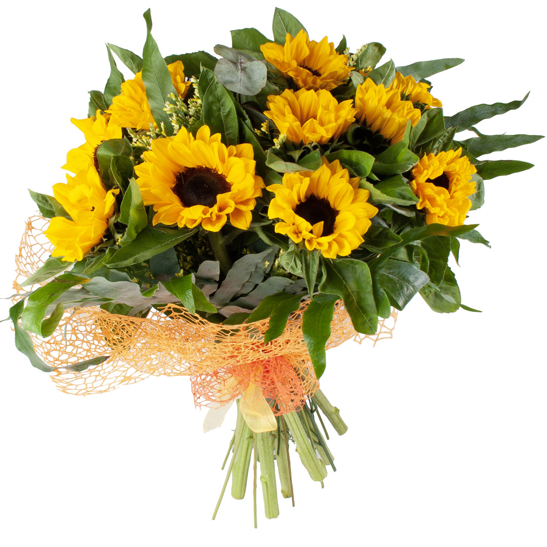 Bouquet 12 girasoli