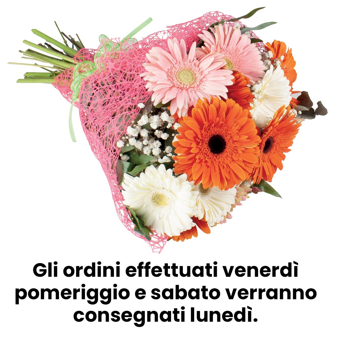 Bouquet 15 gerbere mix