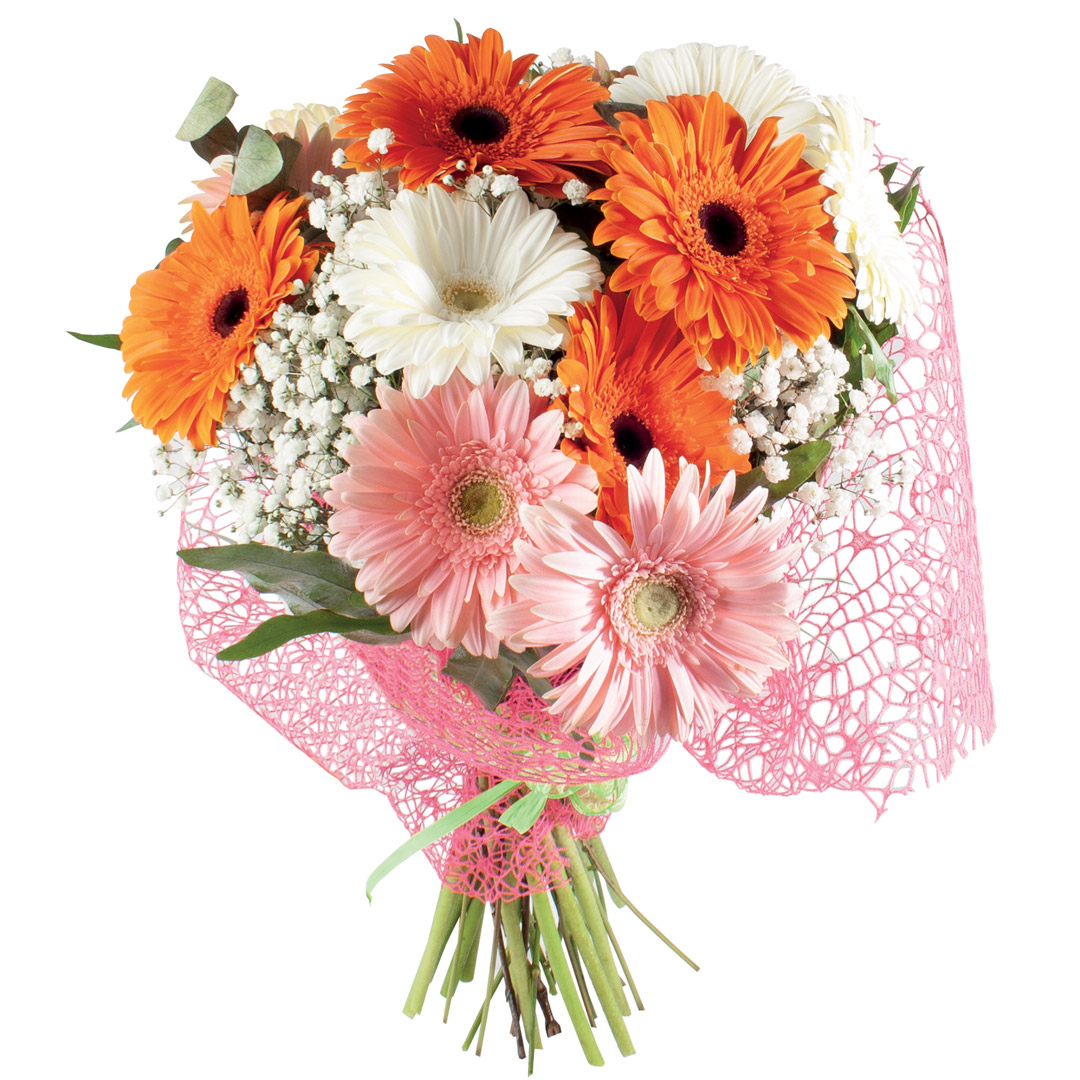 Bouquet 15 gerbere mix